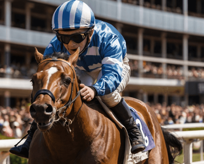 Vainqueur du tournoi hippique — Sergueï Smirnova